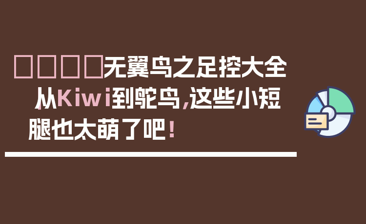🐦无翼鸟之足控大全｜从Kiwi到鸵鸟，这些小短腿也太萌了吧！
