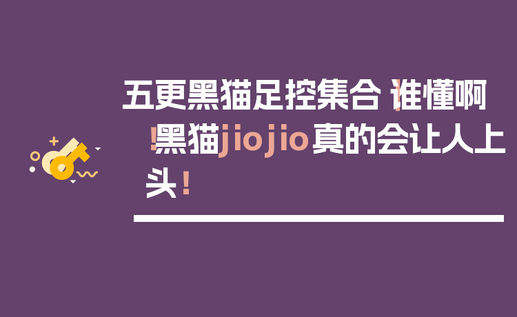 五更黑猫足控集合｜谁懂啊！黑猫jiojio真的会让人上头！