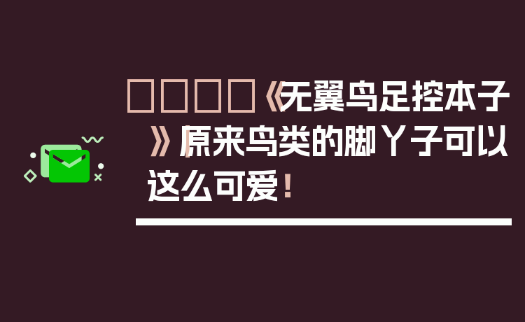 🐦《无翼鸟足控本子》｜原来鸟类的脚丫子可以这么可爱！