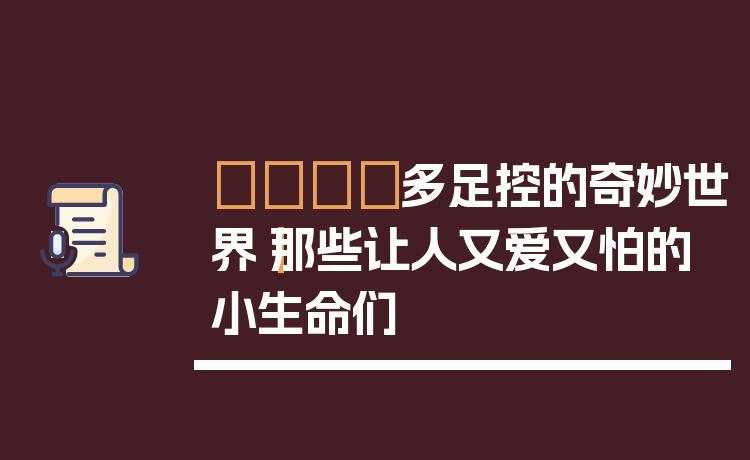 🐾多足控的奇妙世界|那些让人又爱又怕的小生命们